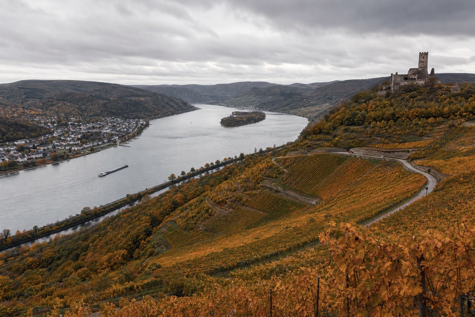 Rheintal mit Flussschleife, Weinbergen und Burgruine